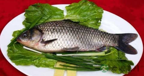 喜头鱼的营养价值_吃喜头鱼的好处