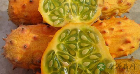 刺角瓜的营养价值_吃刺角瓜的好处