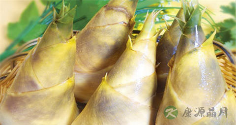 甜竹笋的吃法_哪些人不能吃甜竹笋