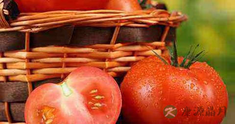 西红柿怎么生吃 西红柿怎么生吃