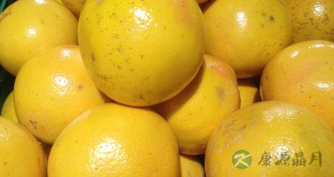 吃完西柚能喝酸奶吗 吃完西柚能喝酸奶吗