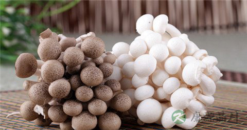 蟹味菇的营养价值_吃蟹味菇的好处