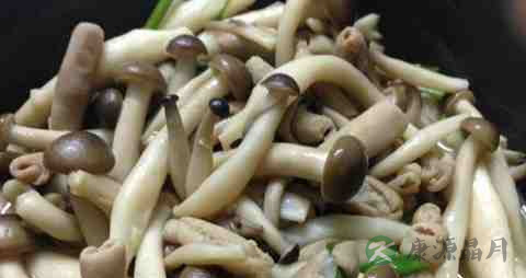 胶玉蘑的吃法_哪些人不能吃胶玉蘑