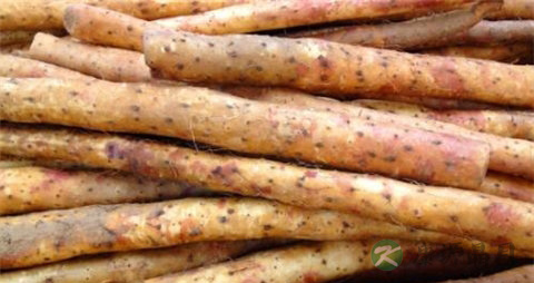 淮山和什么煲汤好 淮山和什么煲汤好