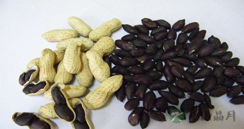 黑花生和红花生的区别