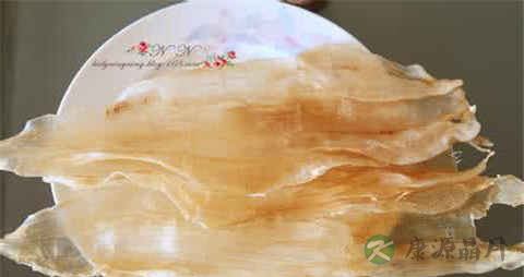 鱼胶真假如何识别