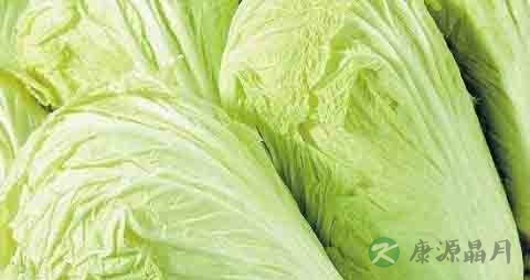 普通白菜的营养价值_吃普通白菜的好处