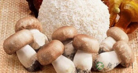 巴西蘑菇的吃法_哪些人不能吃巴西蘑菇