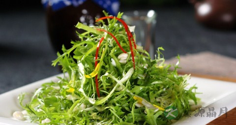 凉拌苦菊用焯水吗 凉拌苦菊用焯水吗