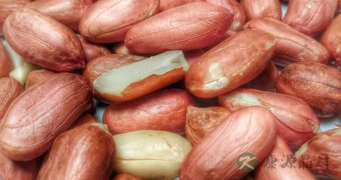 醋泡花生能减肥吗 醋泡花生能减肥吗