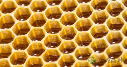 如何辨别真假蜂巢 如何辨别真假蜂巢