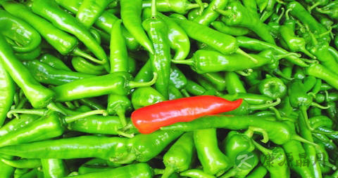 尖椒的吃法_哪些人不能吃尖椒