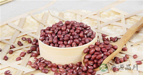 红豆冬瓜皮汤的作用