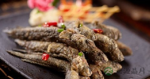 跳跳鱼的吃法_哪些人不能吃跳跳鱼