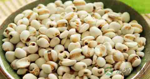 薏米怎么快速煮烂