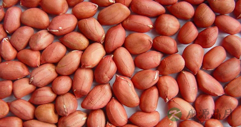 醋泡花生米降血糖吗 醋泡花生米降血糖吗