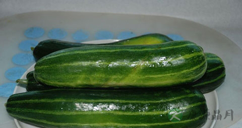 越瓜的吃法_哪些人不能吃越瓜