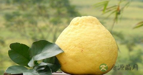 沙田柚的吃法_哪些人不能吃沙田柚