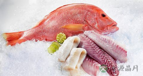 鲷鱼的吃法_哪些人不能吃鲷鱼