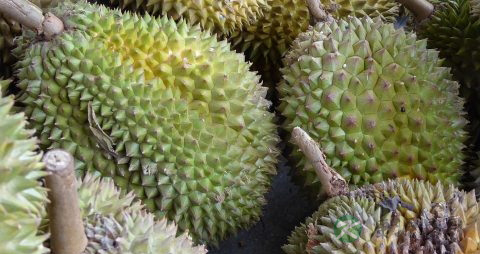 吃剩的榴莲怎么保存 吃剩的榴莲怎么保存