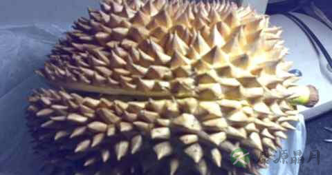 榴莲没有开口可以吃吗