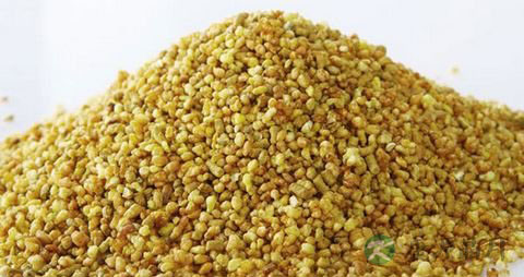 甜荞麦和苦荞麦的区别