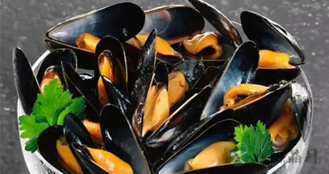 干贻贝的吃法_哪些人不能吃干贻贝