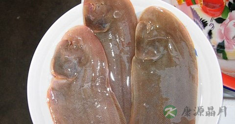 鳎目鱼的营养价值_吃鳎目鱼的好处