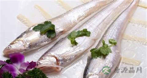 河刀鱼的吃法_哪些人不能吃河刀鱼