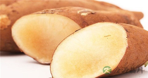 天山雪莲果怎样吃才最有营养