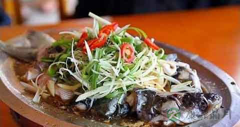 石斑鱼的吃法_哪些人不能吃石斑鱼 石斑鱼的吃法_哪些人不能吃石斑鱼