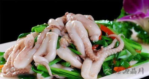 八爪鱼的吃法_哪些人不能吃八爪鱼