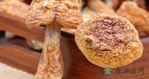 巴西蘑菇的吃法_哪些人不能吃巴西蘑菇