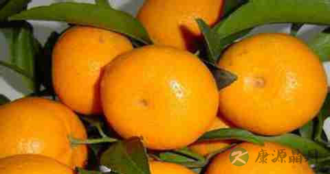 蜜柑的营养价值_吃蜜柑的好处