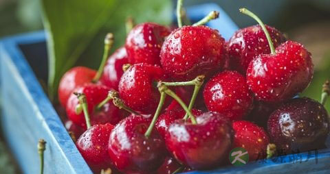 夏天车厘子怎么保存 夏天车厘子怎么保存