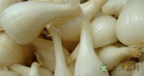 茭头的吃法_哪些人不能吃茭头