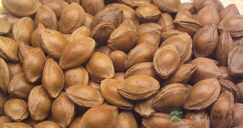 如何区分苦杏仁和甜杏仁