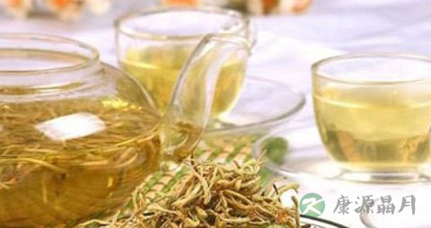 什么人不能喝黄芩茶