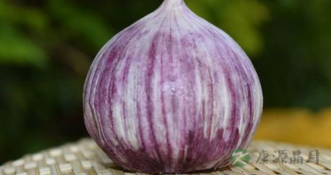 紫皮大蒜的营养价值_吃紫皮大蒜的好处