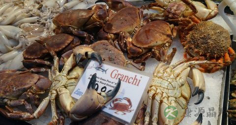 新鲜螃蟹怎么保存