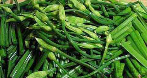 韭菜薹的营养价值_吃韭菜薹的好处