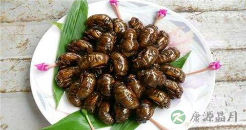 知了猴哪些部位不能吃