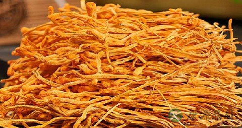 虫草花的吃法_哪些人不能吃虫草花 虫草花的吃法_哪些人不能吃虫草花