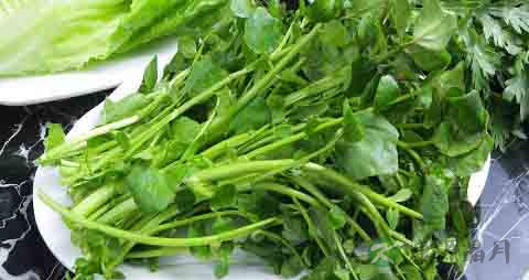 西洋菜的吃法_哪些人不能吃西洋菜 西洋菜的吃法_哪些人不能吃西洋菜