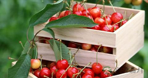 樱桃怎么吃最有营养价值