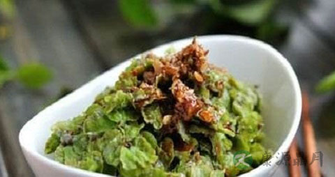 榆钱的吃法_哪些人不能吃榆钱 榆钱的吃法_哪些人不能吃榆钱