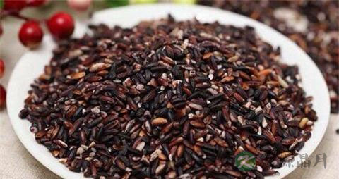 紫红糯米的吃法_哪些人不能吃紫红糯米