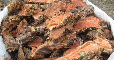 红景天的吃法_哪些人不能吃红景天 红景天的吃法_哪些人不能吃红景天