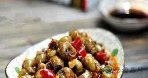 钢螺的营养价值_吃钢螺的好处