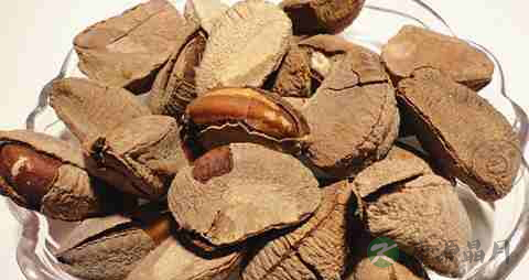 巴西坚果的营养价值_吃巴西坚果的好处